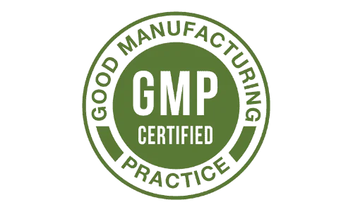 Vision 20 GMP Certified